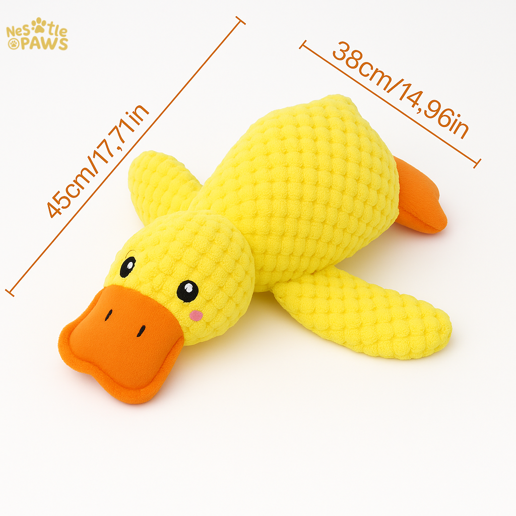 The Yellow Duck That Heals™