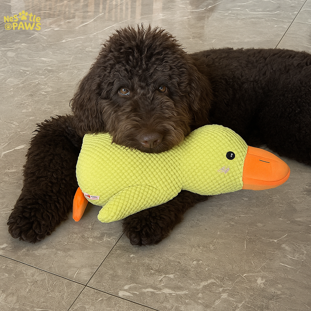 The Yellow Duck That Heals™
