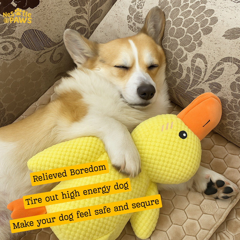 The Yellow Duck That Heals™